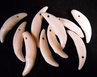 Multipack .75-1.5" DRILLED Coyote teeth real bone Taxidermy Genuine Bones Pendant beads