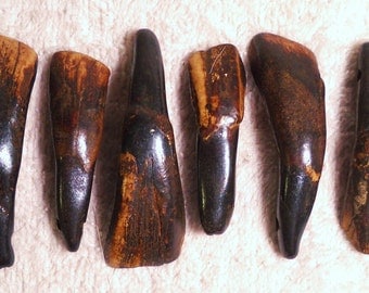 15 Real Bone Drilled Water Buffalo Tea Stained Teeth Taxidermy Genuine Tooth Bones Pendant Beads