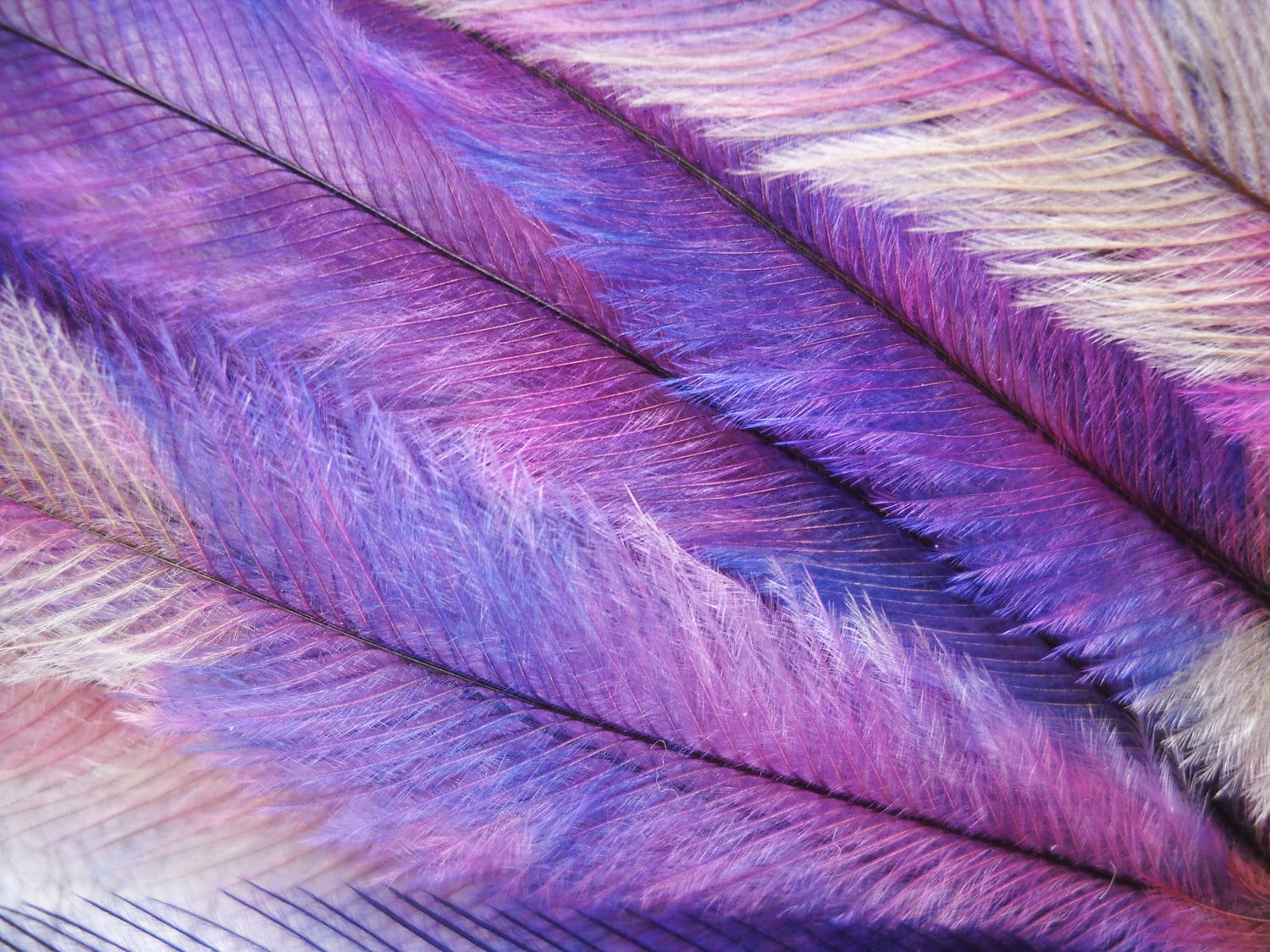 10 Tie Dye Feather Extensions CRUELTY FREE Lavender Purple