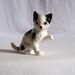 Vintage Black and White Cat