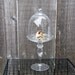 Glass Dome Cloche for cupcake or for display