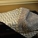 Grey Chevron Blanket