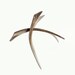Hair sticks, fork, deer antler, Eco friendly, hair styling tool, bone carving, hairpin, natural hair accessory, handmade by MariyaArts
