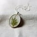 pressed pine christmas tree pendant handmade real winter holiday botanical resin necklace farmhouse cottage sage green woodland evergreen
