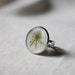 pressed flower ring real pressed botanical queen annes lace adjustable ring - natural woodland beauty, rustic cottage garden love girly