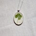 RESERVED FOR NICOLE our leaf clover real pressed leaf botanical pendant. sage green 4 leaf clover set in resin