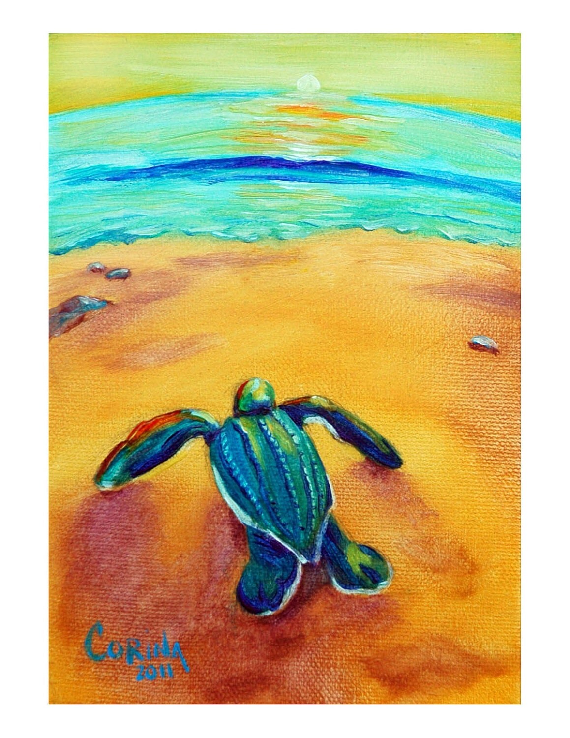 Baby Sea Turtle Original Sea Turtle PRINT 8 x 10 By Corina