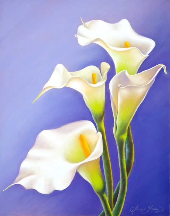 Items similar to White Calla Lilies. These graceful beauties are an ...