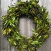 Year Round Wreath - Spring Beauty - Pacific Wax Myrtle & Evergreen Lilac - 19 in. Wreath