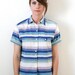 Southwest Inspired Blue, Green, White Striped Shortsleeve Button Down Shirt