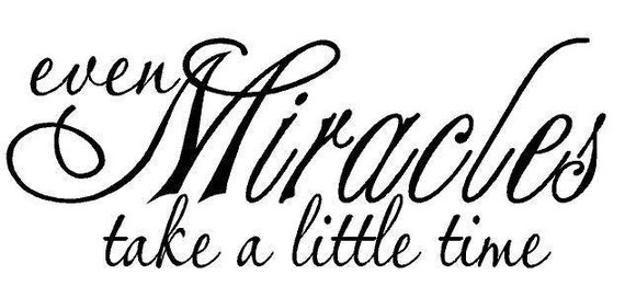 Even Miracles take a little time by wallgraffitivinyl on Etsy