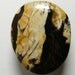 20% Off Sale - Rare Peanut Wood Cabochon - Petrified conifir wood from Australia. Handcut freeform cabochon