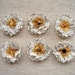 Paper Flowers die cut from upcycled hymnal 6 flowers shabby chic cream black