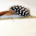 Brown n Tan Feathers on Gold Chains with Crystal Beads Hair Clip