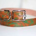 Small Leather Dog Collar with Floral Green Abstract Design