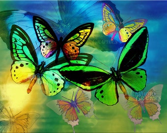 Blue Butterfly Canvas Gallery Wrapped 11 x 14 canvas ready to hang