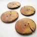 Handmade Wooden Buttons - Blue Spruce (4 qty) - 1 7/8" Diameter x 3/16" Thick