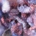 Wool Locks Romney One Ounce /Dyed / Felting / Spinning / Needle Craft / Fiber Artist