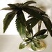 Three Metal Palm Trees All Metal With Stand Beach Decor