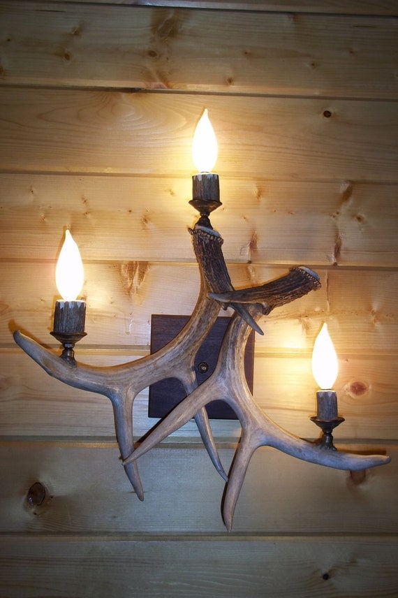 Antler Wall Sconce Three light Black Walnut back plate