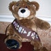 Build A Bear -Brownie Sash or Vest