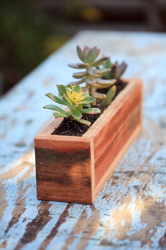 3x12 Succulent Planter Box Redwood great for