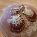 Gold and pink shell clip earrings.(C116)
