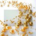 Handmade Fashion Jewelry Yellow Mother of Pearl Round Beads Necklace Choker