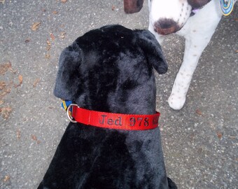 Custom embroidered dog collar
