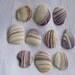 Wampum Shell Beads Crafts Mosaics