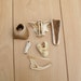 Bone Fragments Beach Finds
