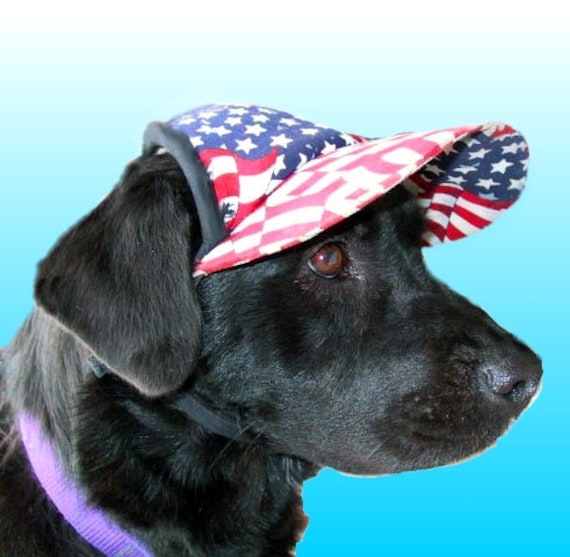 Dog Hat American Flag Hat in 5 sizes ready to fit by K9KoolHats