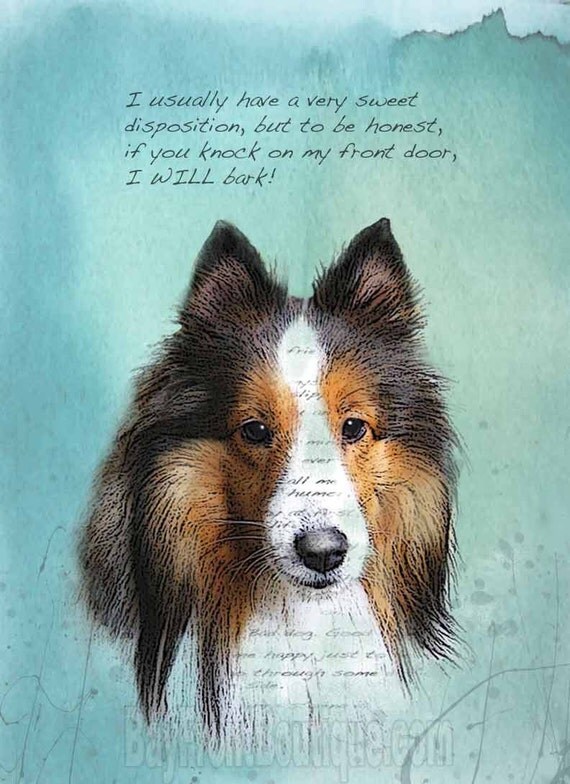 Shetland Sheepdog Sheltie Dog Art Print 5 x 7 with FREE