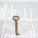Vintage Tubular Lock Key Skeleton Key Gothic Steampunk