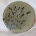 High Fire Ceramic Ant Plate