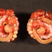 Vintage Earrings, Pink, Orange. Gold Tone Mesh, Clips