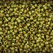 TOHO beads seed 10g size 11/0 HYBRID Sour Apple Picasso Nr. 11-Y310 GreenLAST