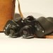 Vintage Binolux 7x50 Binoculars with Very Nice Leather Case that Includes a Compass