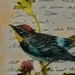 OOAK Original Art Collage Hand Colored Songbird Repurposed Emily Dickinson Script