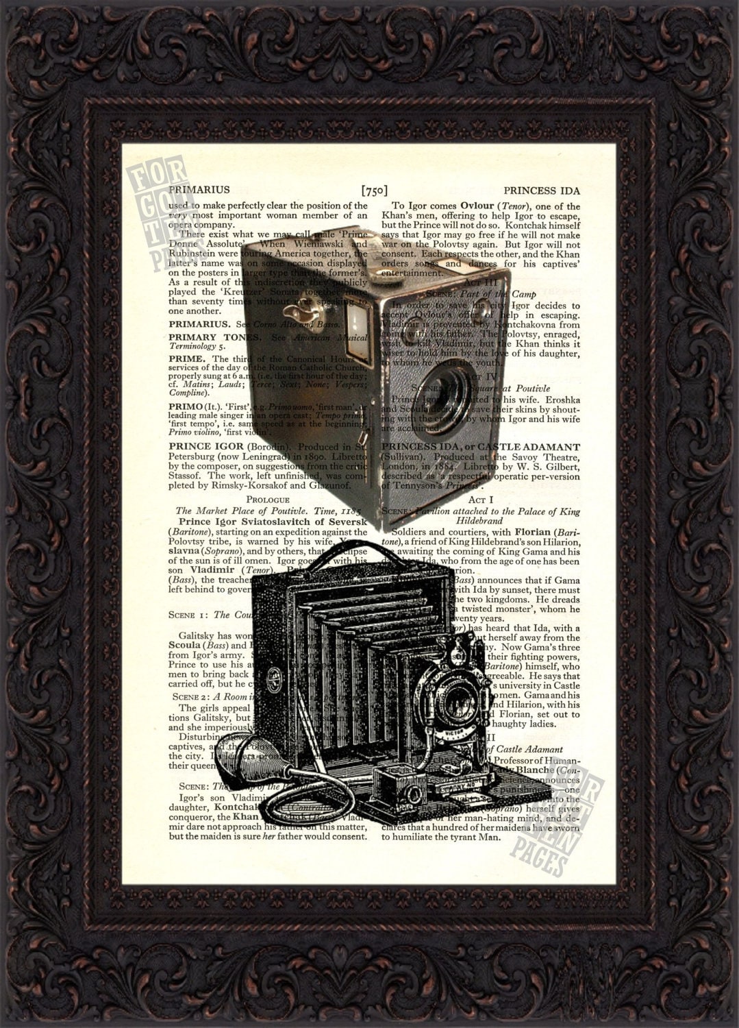 Old Classic Double Camera Print on upcycled Vintage Page mixed