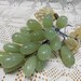Vintage Green Stone Cluster of Grapes (A393)