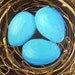 ORIGINAL Bird Nest Egg Painting Robin's Egg Blue Contemporary Acrylic Canvas Art 12" x 12".