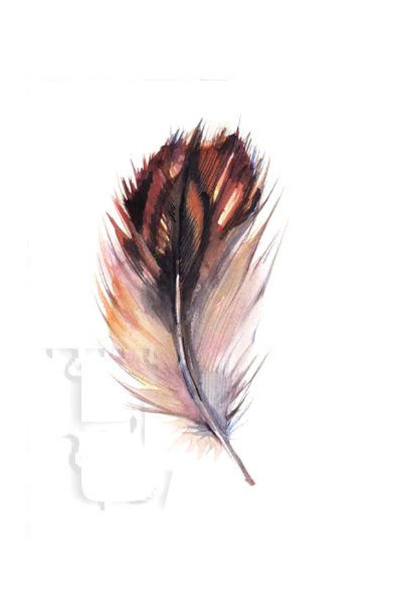 Download 50% Off OWL FEATHER ORiGINAL WATERCOLoR painting 5X7 by ...