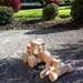 Wooden Toy - Road Grader