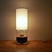 Terrarium/Display Column Table Lamp