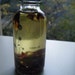 Organic Rose Oil