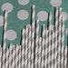 Paper Straws - 25 Grey and White Striped Paper Straws