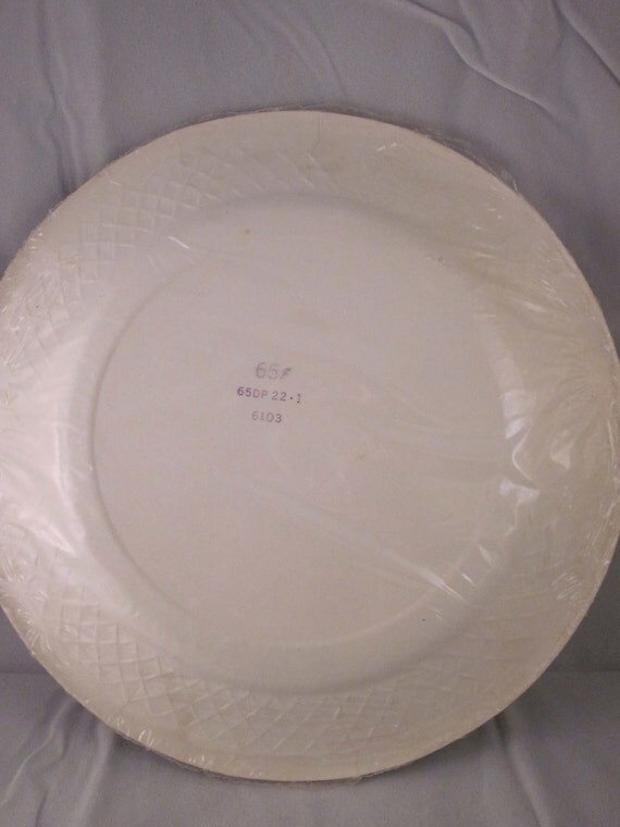 STRAWBERRY Paper Plates Vintage Hallmark 9 inch package of