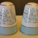 Salt and Pepper Shakers : Teal, White, and Silver Floral Design