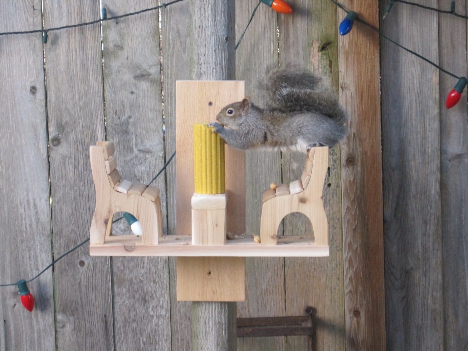 catapult squirrel feeder